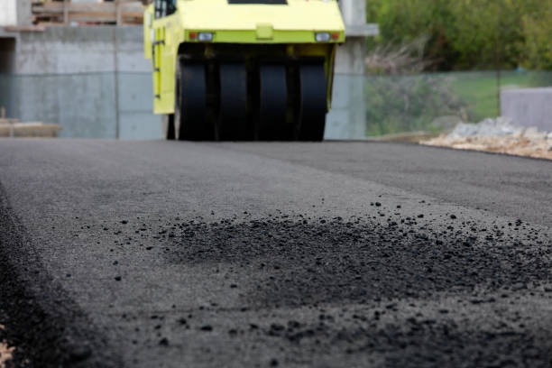 Best Best Driveway Pavers  in Forrest, IL
